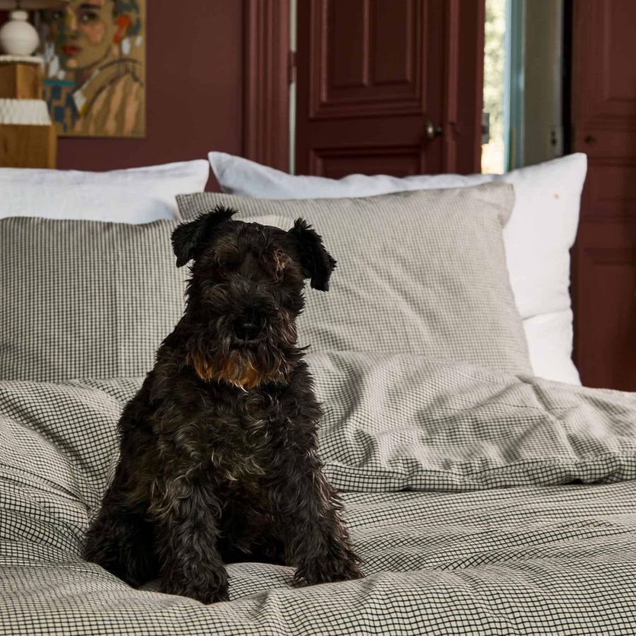housse-de-couette-gustave-caviar-240x220-Housse de couette-4-ARMONYA